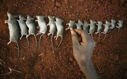 241733667_10159635842504533_4081709729929712719_n