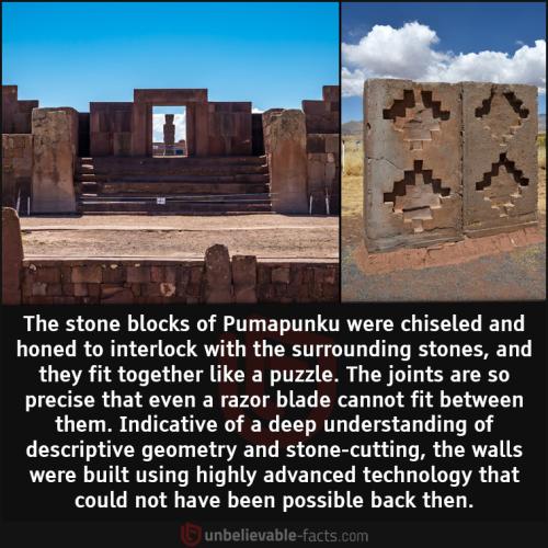 245076782_4338709799574502_3041948686678569034_n