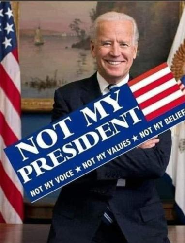 Screenshot_20210527-194920_Gallery