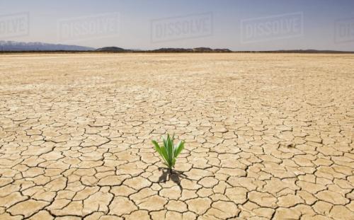 Screenshot_20211007-071442_DuckDuckGo