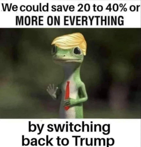 image_1635004979.983