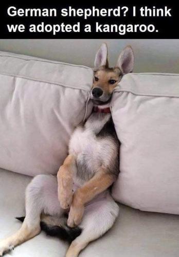 244467591_4887878044574187_1344041041358336469_n