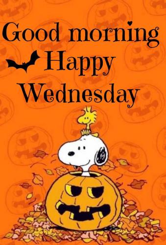 244643169_4106260506152187_1855979936619268364_n