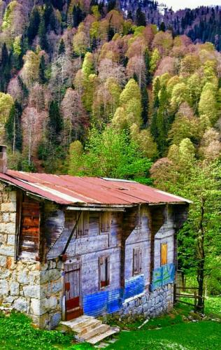 11:46:26 GMT-0700