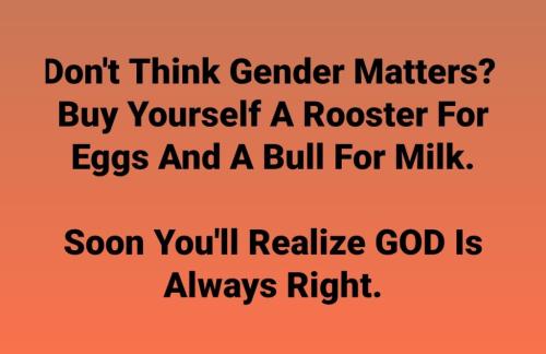 10:26:25 GMT-0500 (CDT)