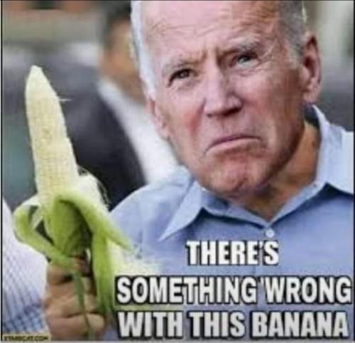 Screenshot_20210424-071105_Wimkin