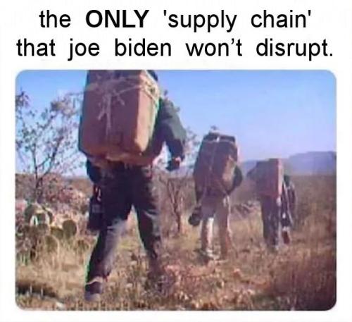 illegal immigration254