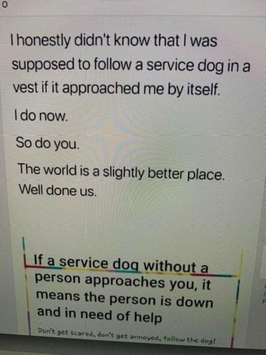 248362173_4405877929498858_7126985992465634602_n