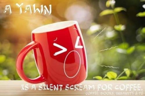 245454883_416077533215695_4578525020928531211_n