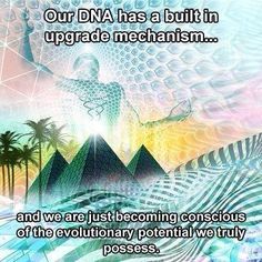 ,                                              . a DNA UPGRADE
