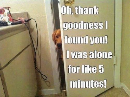 244258000_4615211048529735_1115211828446304502_n