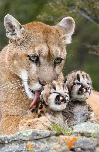 84fa8d9852c115f553abc82fc4543cd0