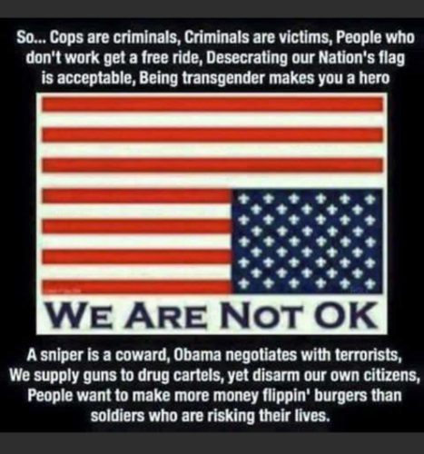 we_are_not_ok_America