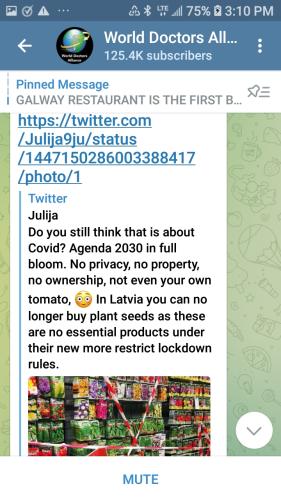 Screenshot_20211010-151042_Telegram