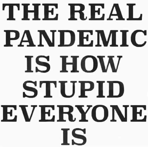 FB_IMG_1635197350017