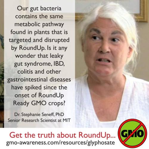 Dr_Stephaine_Seneff_On_Glyphosate