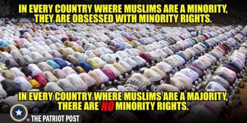 FB_IMG_1634066881289