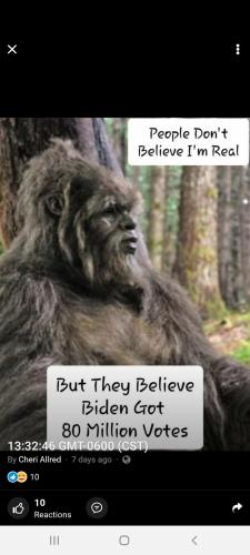 Screenshot_20210120-220312_Wimkin