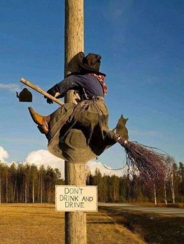 244549063_256362386499557_1032686363597602886_n