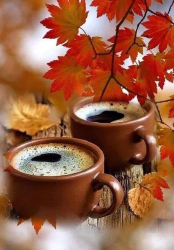 245537861_4307715936002291_9048376633416010634_n