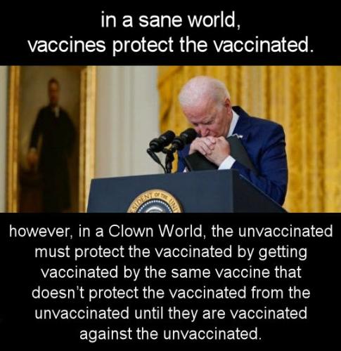 vaccine413