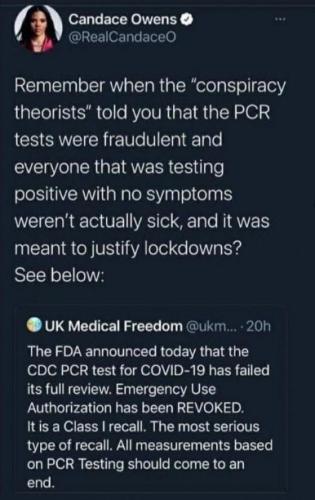 candace owens18