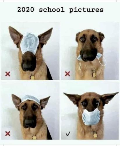 16:52:13 GMT-0600 (MDT).image