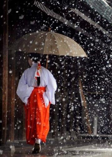 247353834_887248148575657_1375601624911633992_n