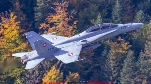 247060998_449162793445416_3814640475545142040_n