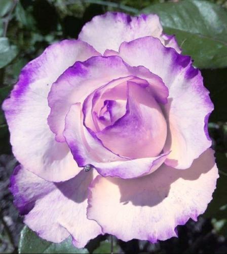 05:48:21 GMT-0500 (CDT)