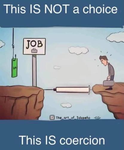 249899343_10158468522342951_771112135066447295_n