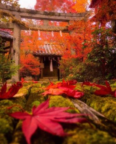 249217293_426243698871638_5792647516710851188_n