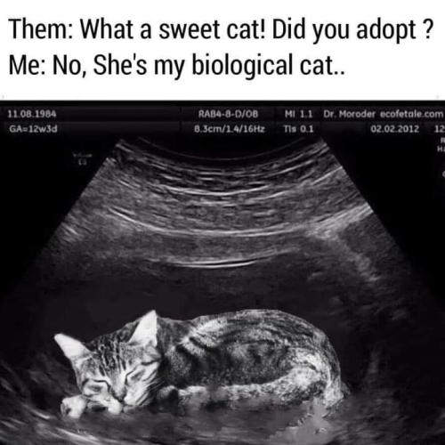 11:44:07 GMT-0500 (CDT)