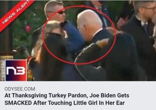 Screenshot_20211125-071217_DuckDuckGo