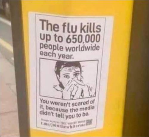 flu season02