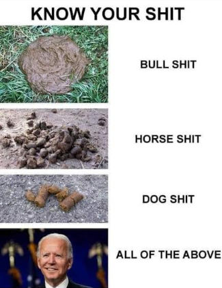 bullshit115