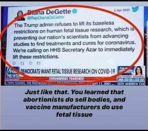 991cc7bb7f147dbfdc563c6936d0c318_1024