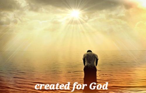 Screenshot_20211114-062648_DuckDuckGo