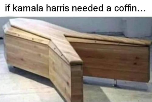 kamala harris162