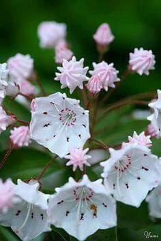 17:53:05 GMT-0600 (CST)