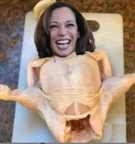 image_1637764615.524