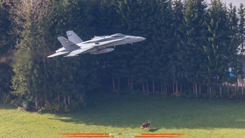 254960523_465009535194075_3675686874685310854_n