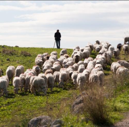 Screenshot_20211118-065252_DuckDuckGo