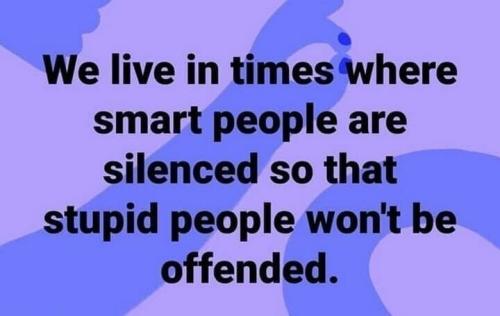 image_1637330377.683