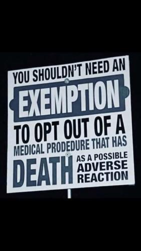 Screenshot_20211110-122317_Wimkin Uncensored