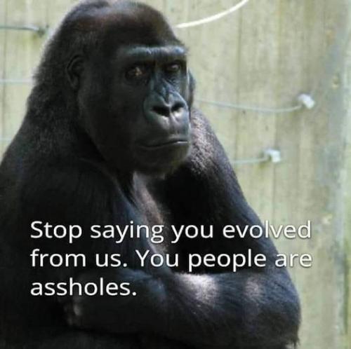 ape