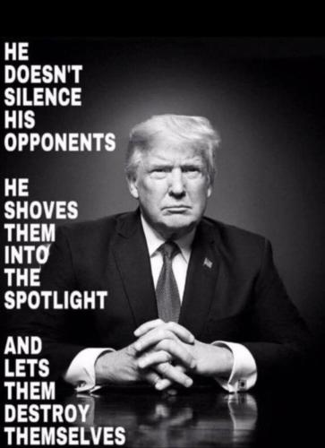 xephula_4dcb5a50b232ac9370f650e4f29d0079