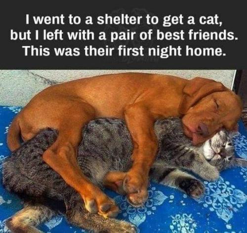 FB_IMG_1637475169284