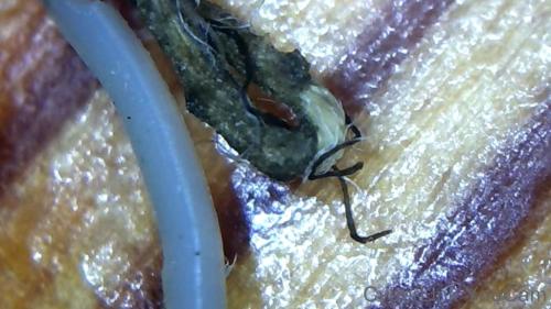 Huge Fullerene Origami Core Rod Bundle