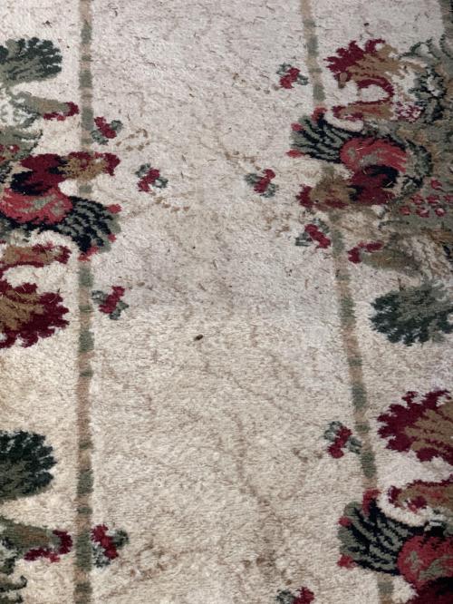 0BAE2EE1-B730-4B62-951B-4DCEFBC724ED